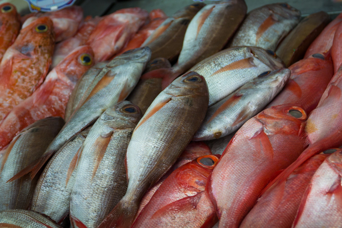 Peixe português